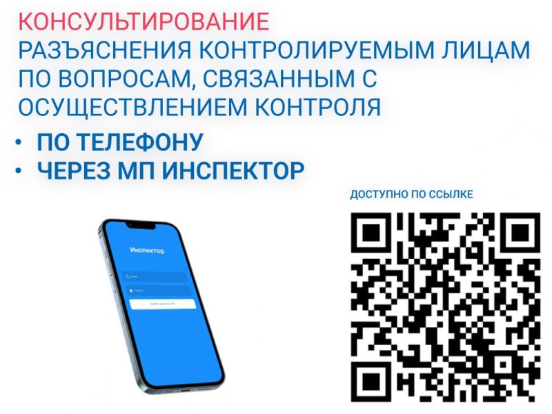 Инспектор3.