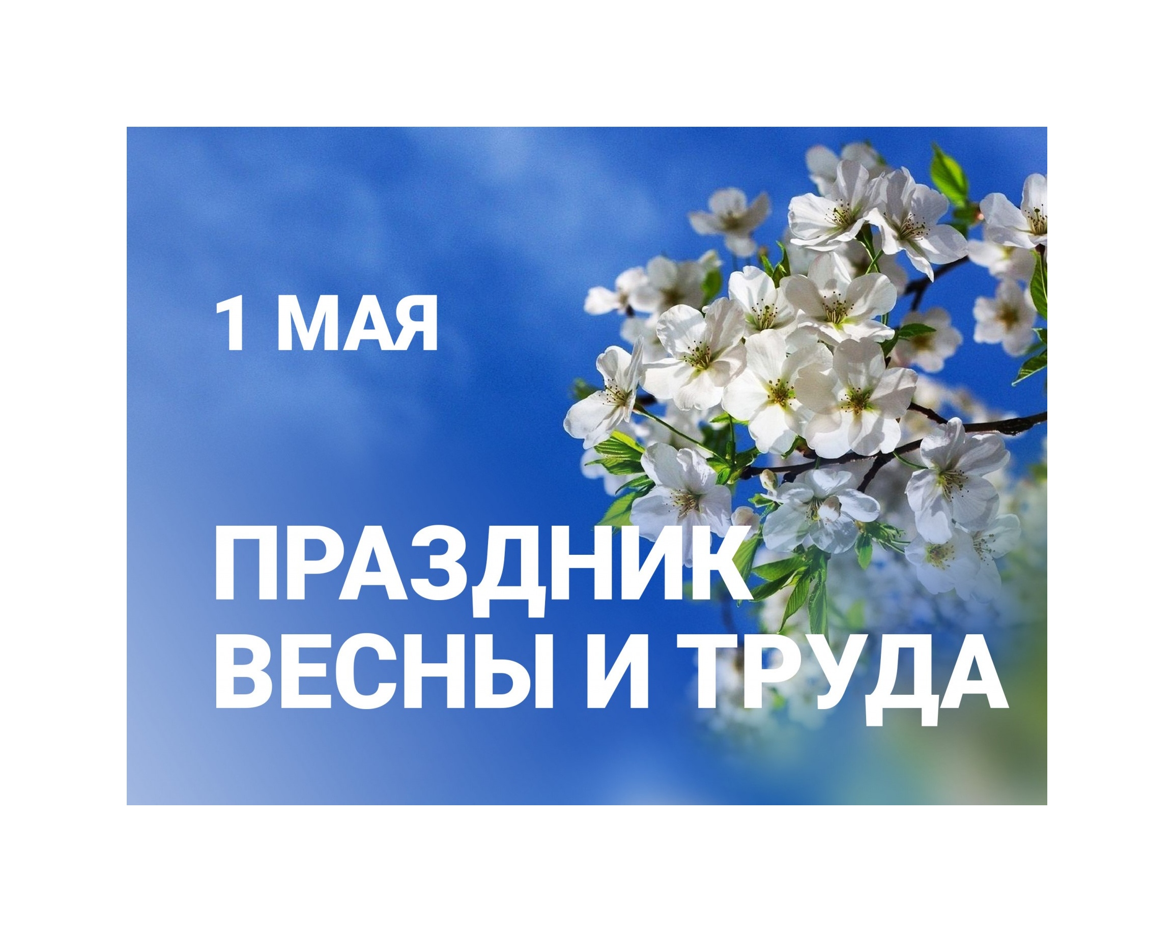 Уважаемые усть-кубинцы! Примите поздравления с праздником Весны и Труда!.