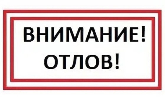 Отлов безнадзорных животных.