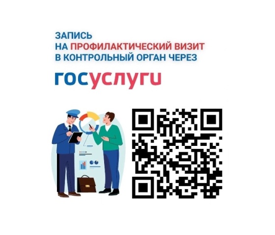 Запись на профилактический визит и консультирование через Единый портал государственных услуг.