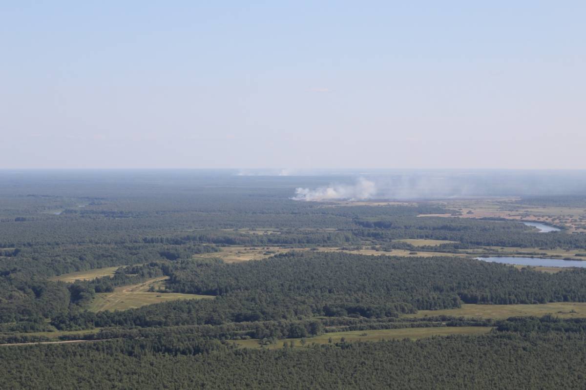 Лесопожарная обстановка в области остается стабильной.