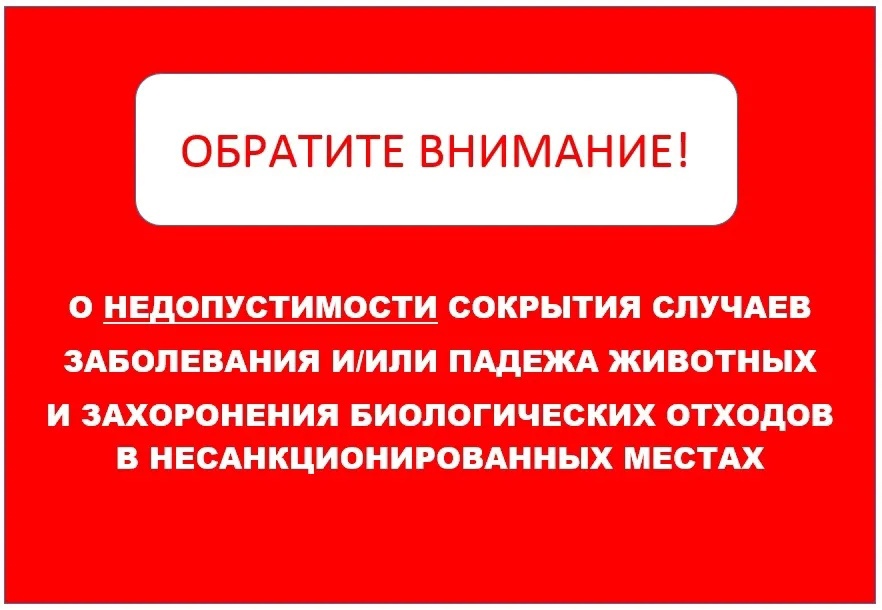 ВАЖНАЯ ИНФОРМАЦИЯ ДЛЯ ВЛАДЕЛЬЦЕВ ЖИВОТНЫХ ВСЕХ ФОРМ СОБСТВЕННОСТИ!.