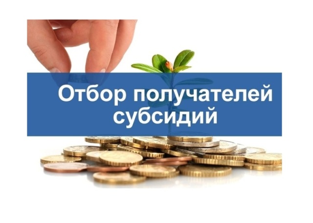 Проводится отбор получателей субсидий на поддержку привлечения кадров.
