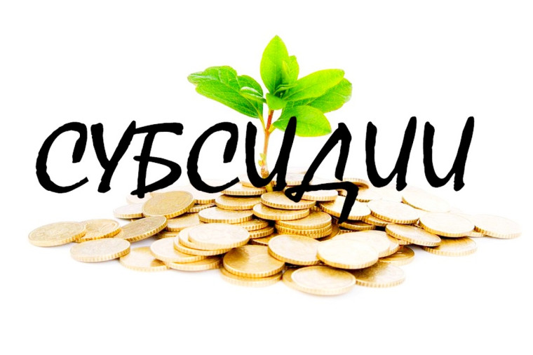 ОБЪЯВЛЕНИЕ о приеме документов на предоставление субсидии.