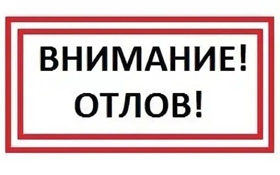 Отлов безнадзорных животных. Отлов безнадзорных животных.