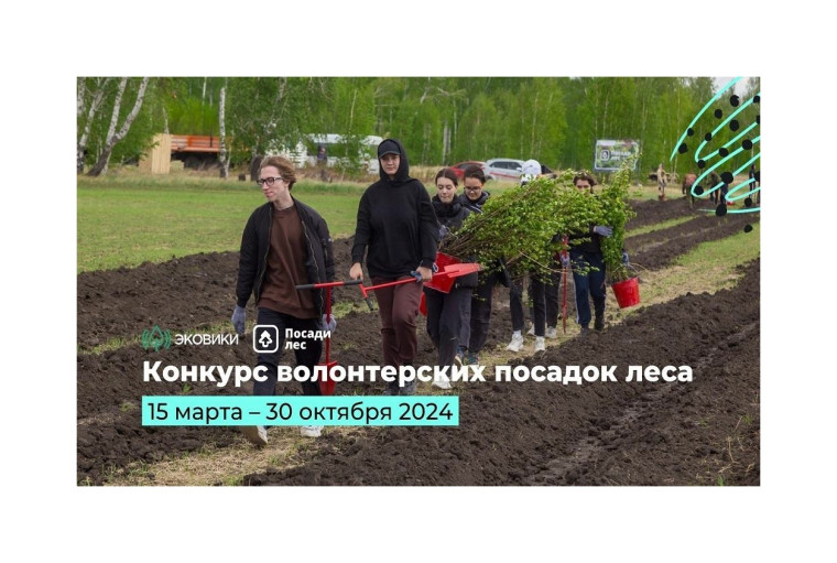 Волонтеры и экологисты в регионах могут получить премию за помощь в восстановлении лесов. Волонтеры и экологисты в регионах могут получить премию за помощь в восстановлении лесов.
